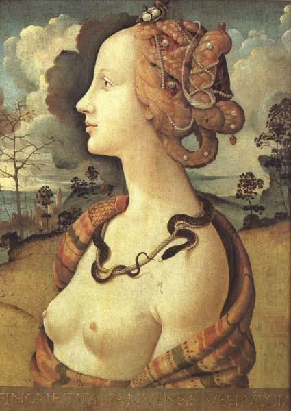 Simonetta Vespucci (mk45), Piero di Cosimo